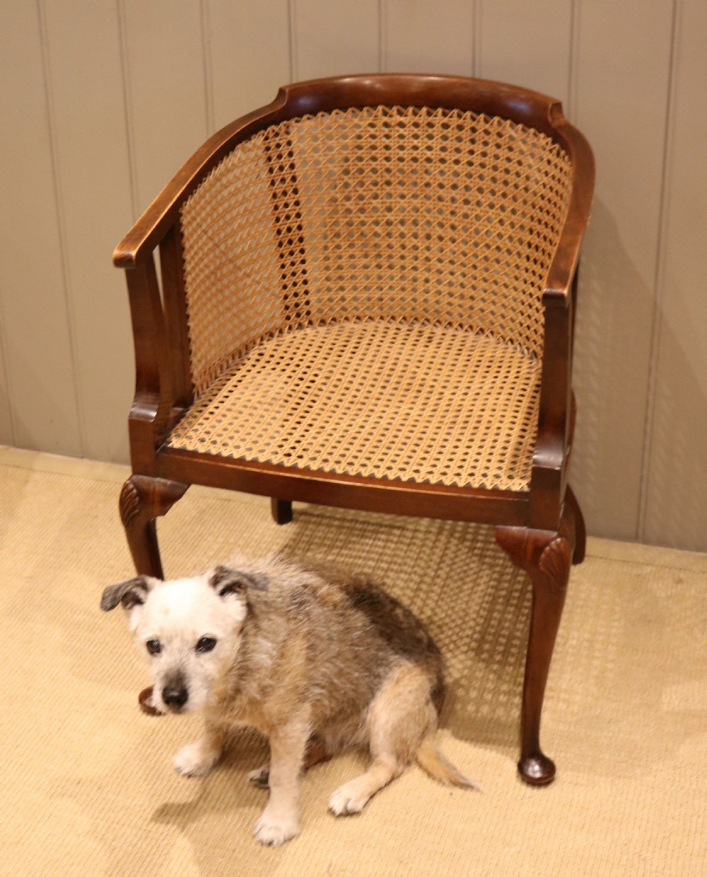 Edwardian Walnut Bergere Chair View VIII