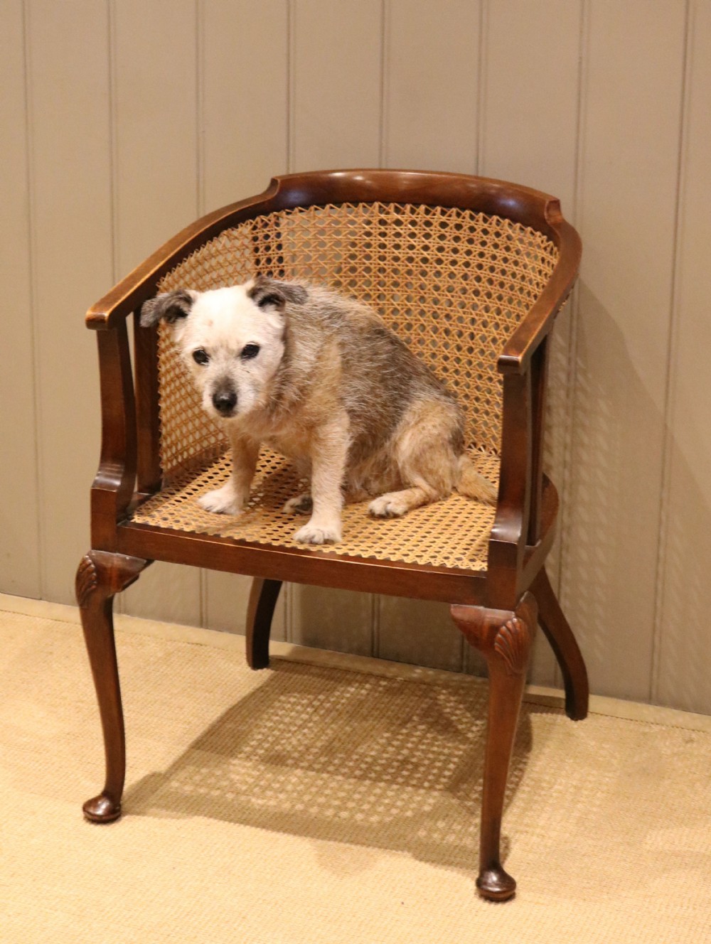Edwardian Walnut Bergere Chair View IX