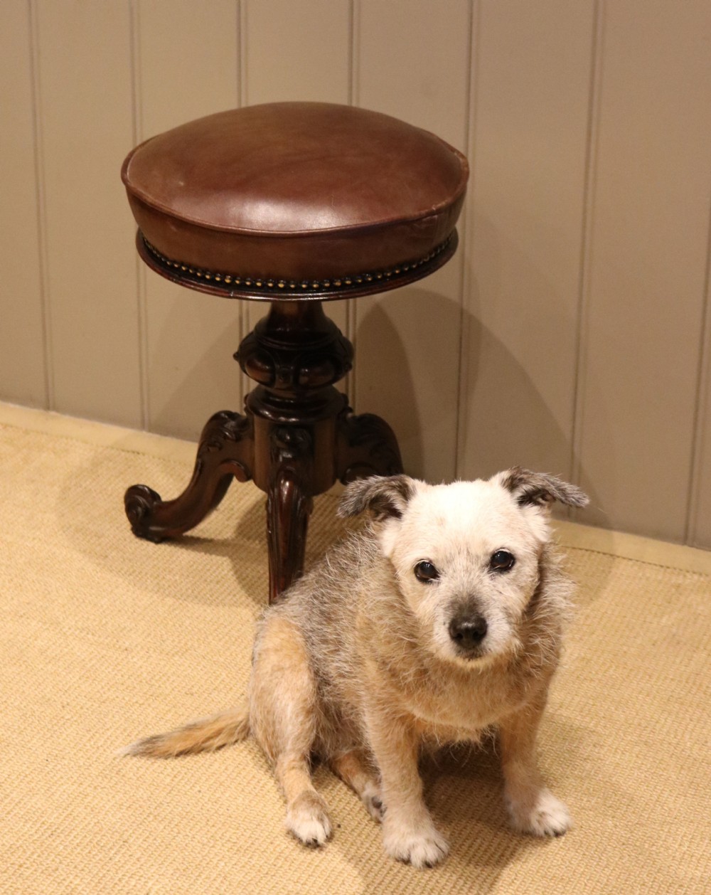 19th Century Leather Top Piano Stool View VIII
