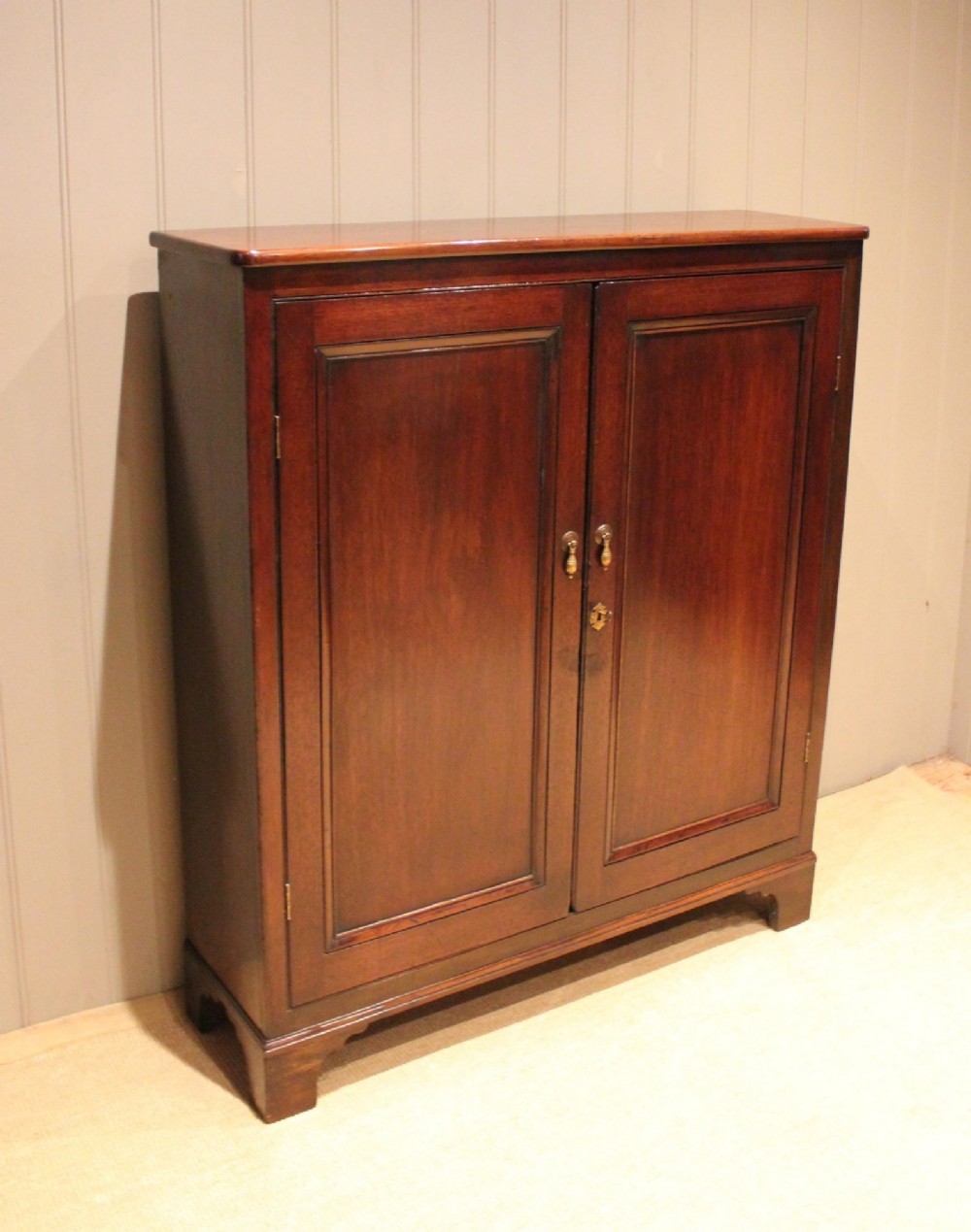 Early 19th Century Narrow Mahogany Cabinet