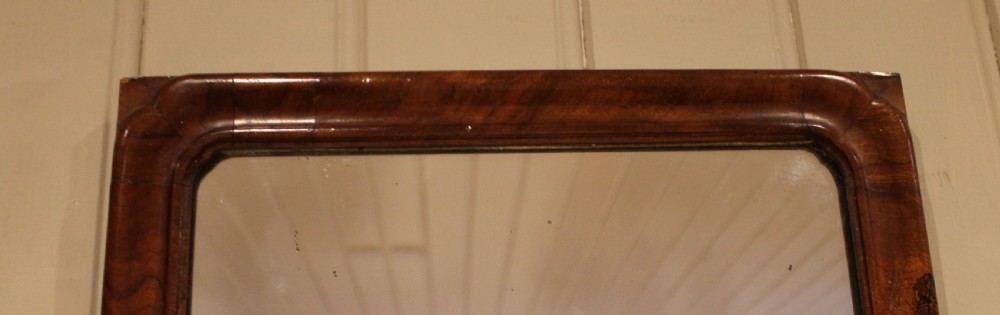 Late 19th Century Full Length Walnut Wall Mirror View IX