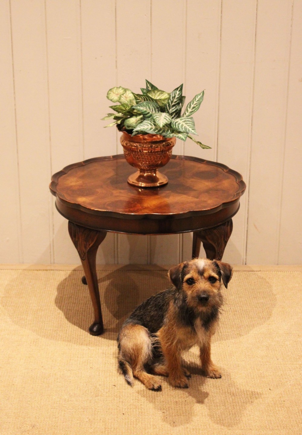 Low Oyster Walnut Occasional Table View IX