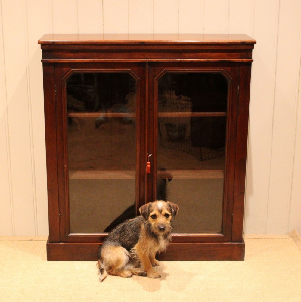 A late nineteenth-century dark mahogany bookcase with two glazed doors and interior shelves containing rows of books. View VIII