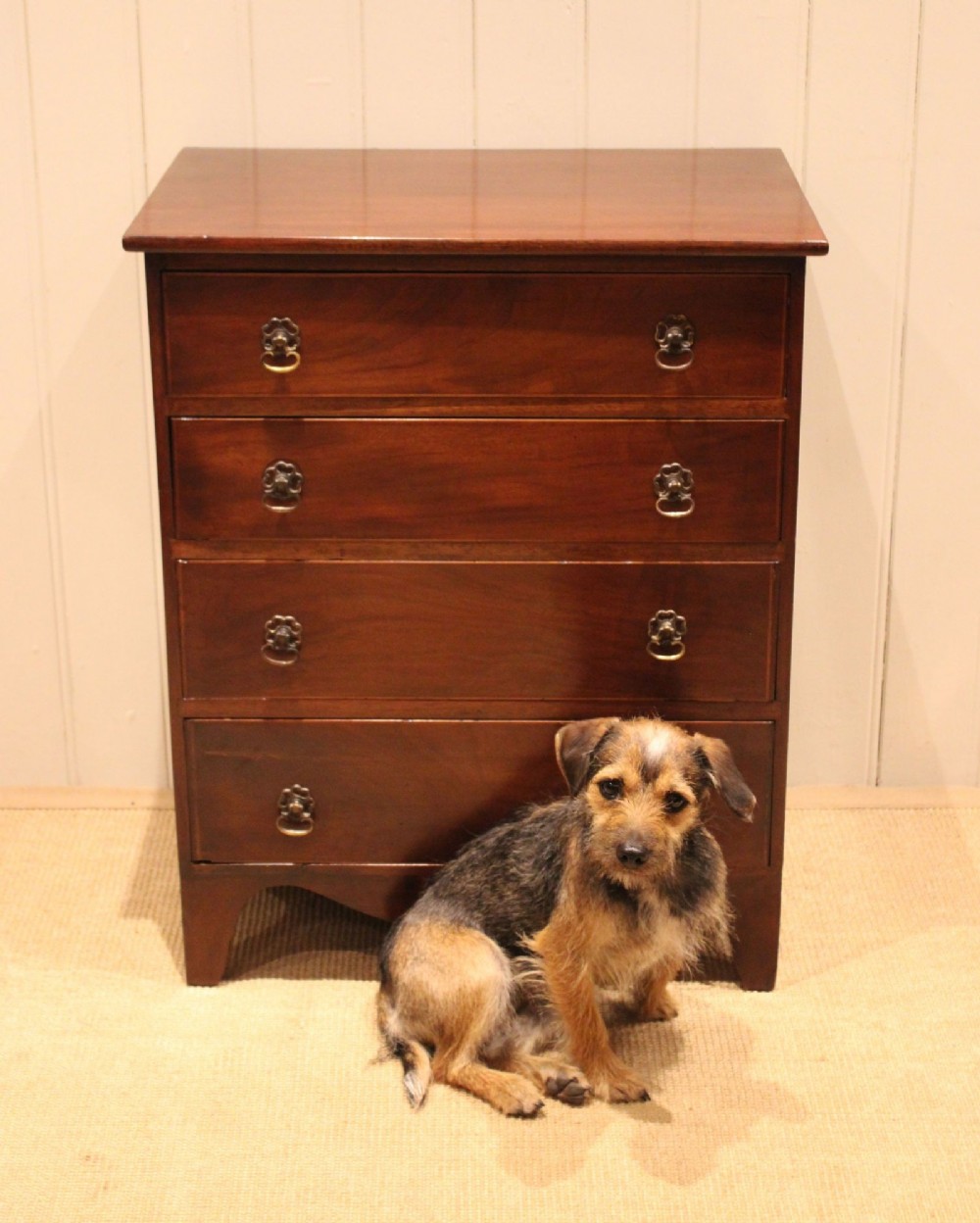 An Edwardian mahogany chest of drawers with four graduated drawers, circular brass handles, and a shaped apron base. View IX