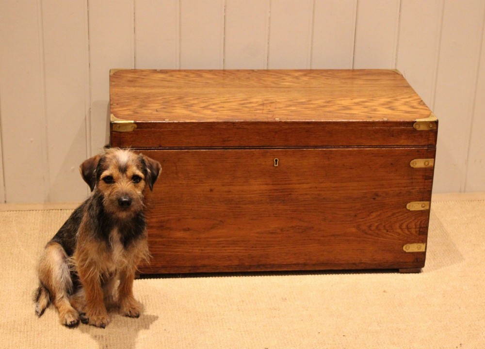 Oak Brass Bound Trunk View X