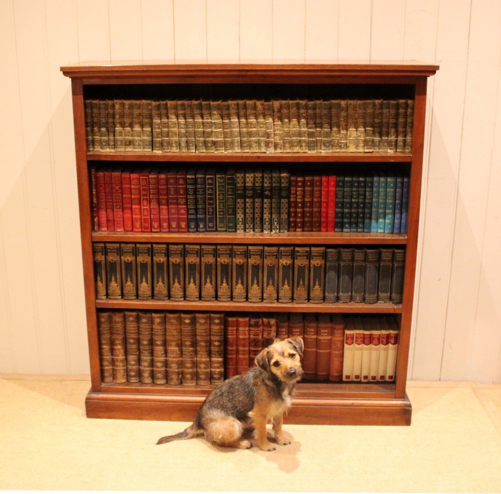 Walnut Open Bookcase View IX