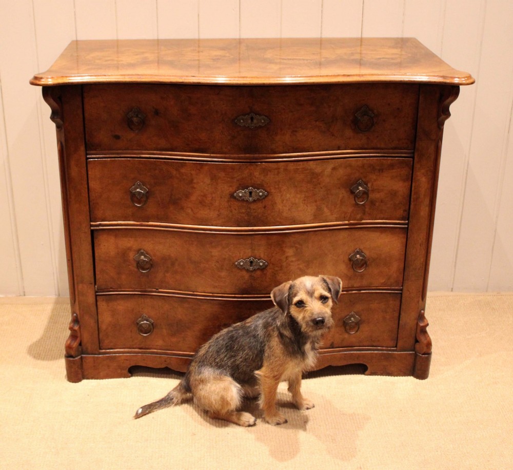 A mid-19th century burr walnut chest of four graduated drawers with a serpentine contoured front and brass drop handles. View XII