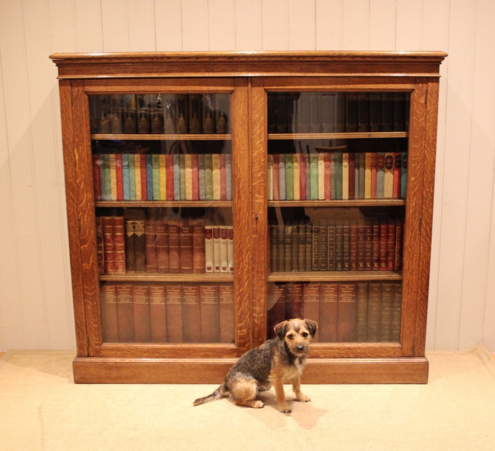 Large Oak Glazed Library Bookcase View IV