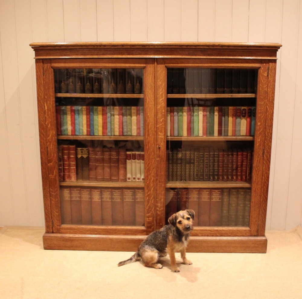 Large Oak Glazed Library Bookcase View VI