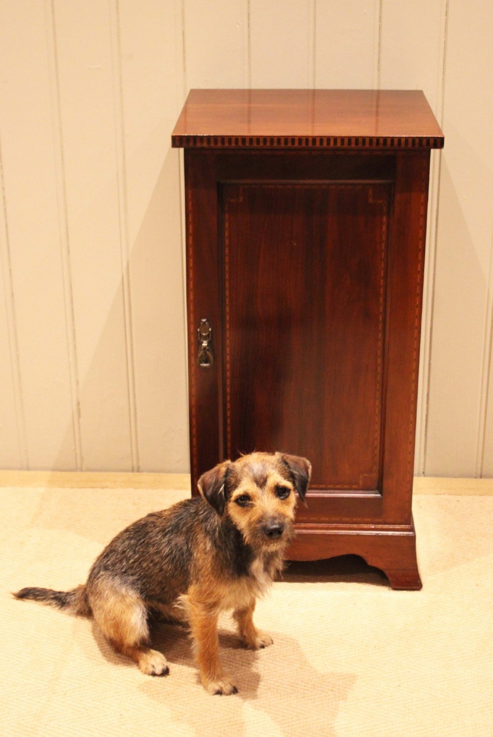 Edwardian Mahogany Bedside Cabinet View VIII