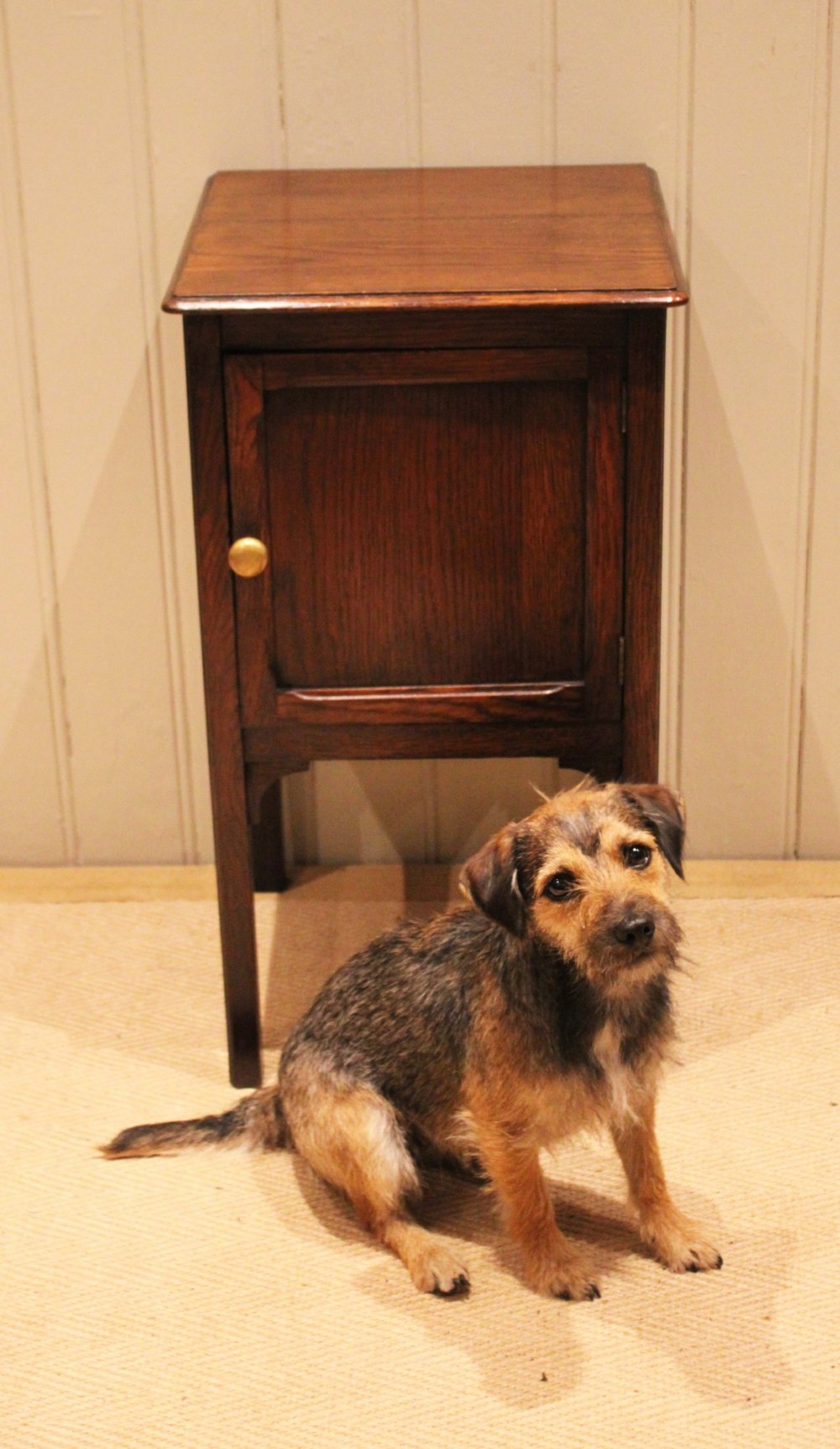 Edwardian Oak Bedside Cabinet View IV