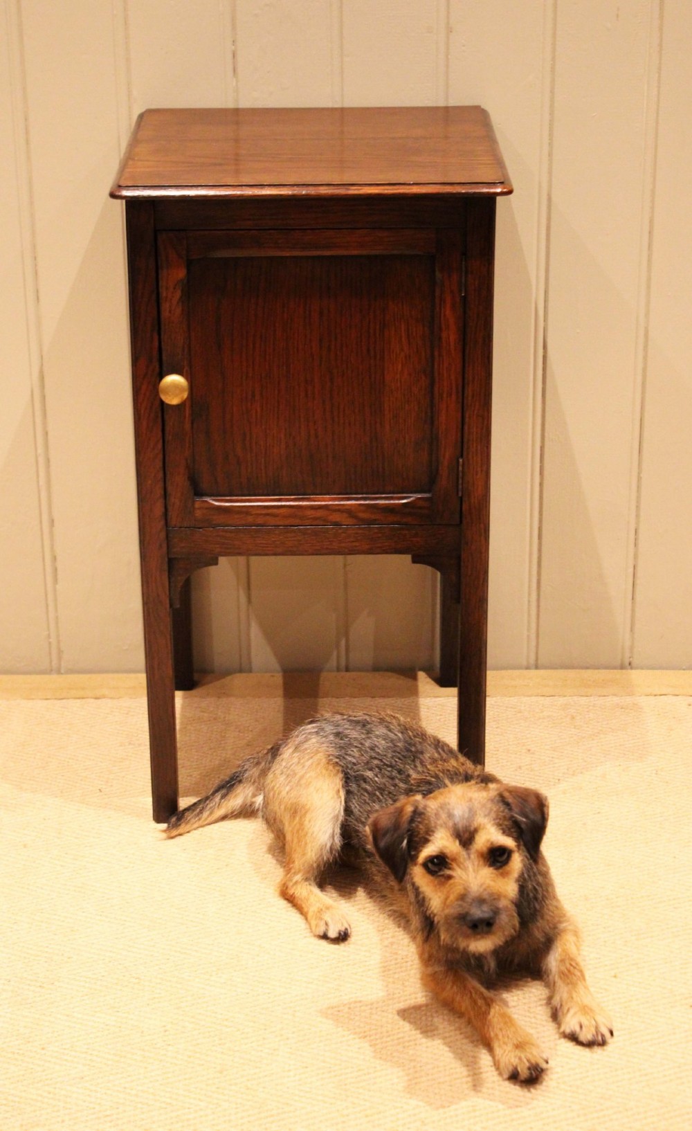 Edwardian Oak Bedside Cabinet View IX