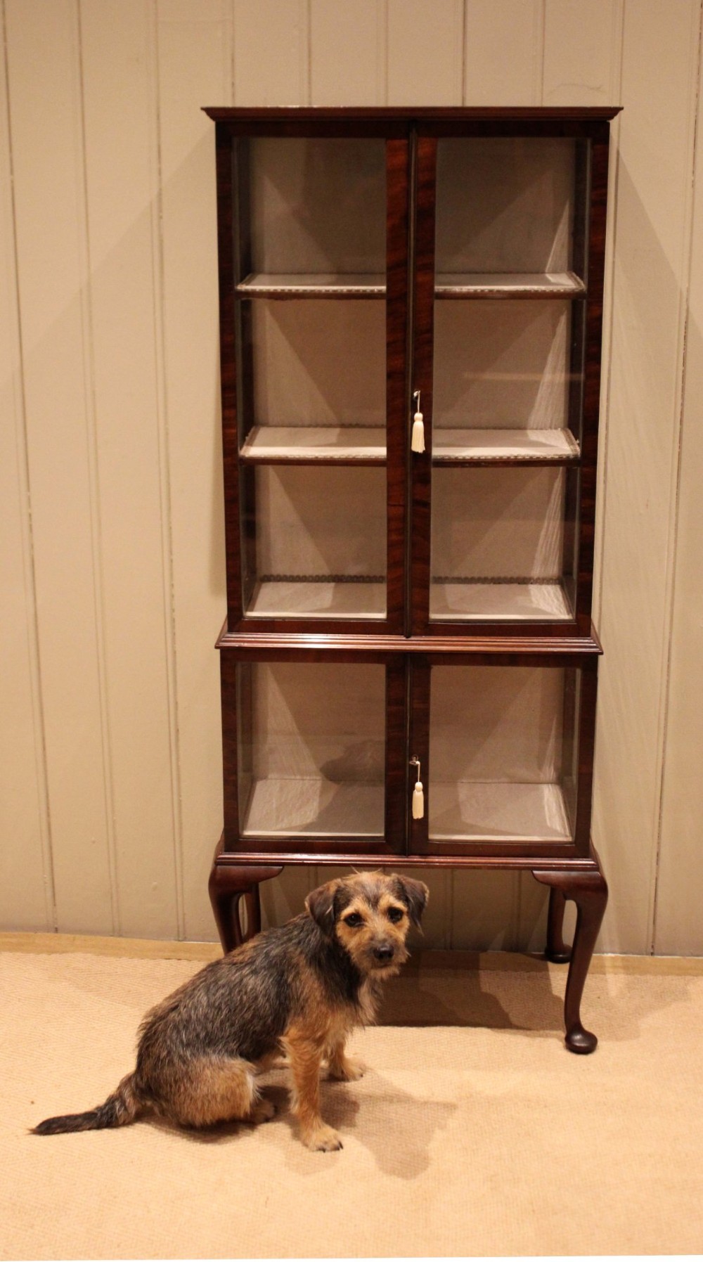 An Edwardian dark mahogany display cabinet with glazed doors and sides, resting on cabriole legs with pad feet. View VI