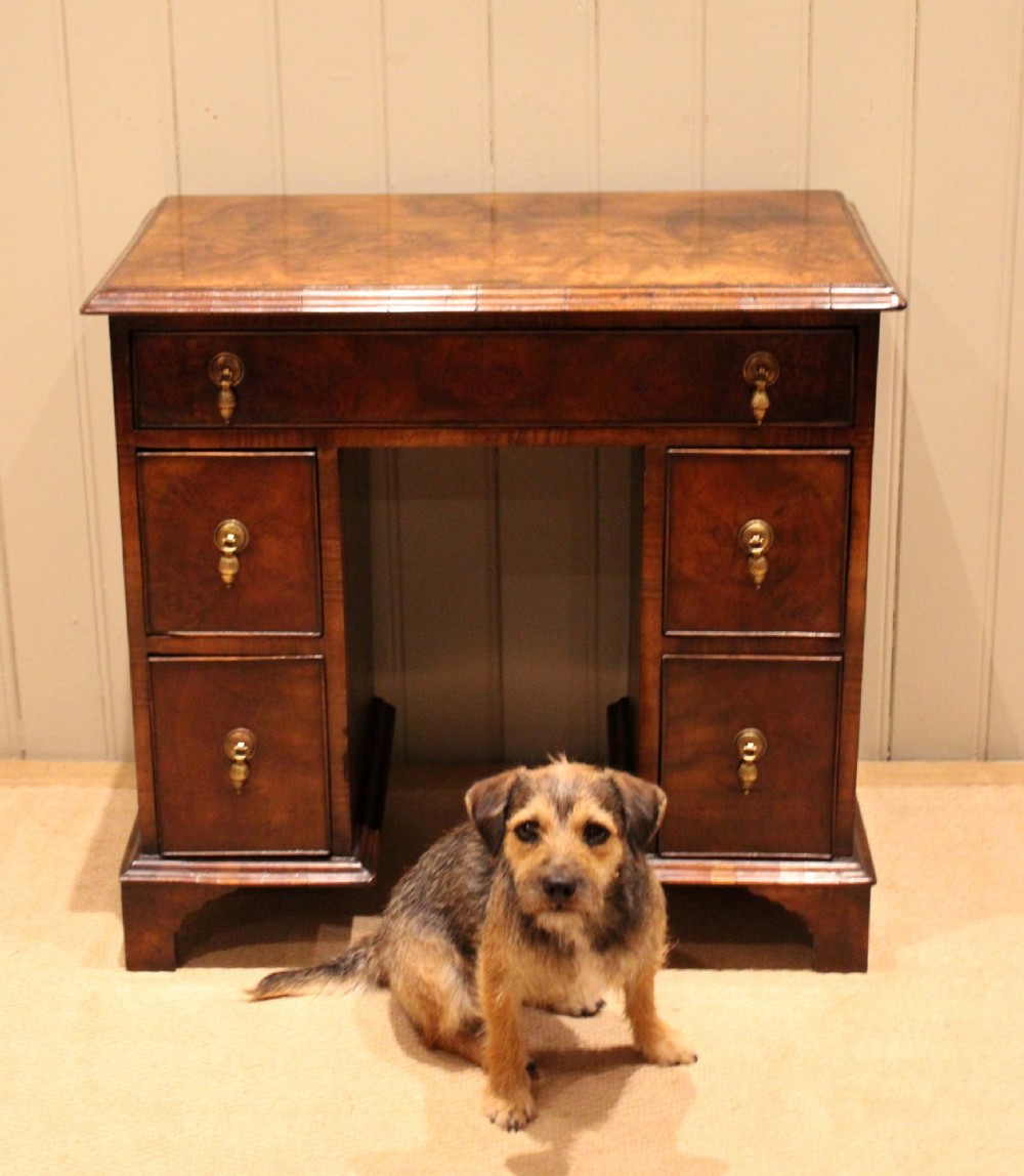 A small proportioned burr walnut pedestal desk featuring five drawers with brass drop handles and bracket feet. View VIII