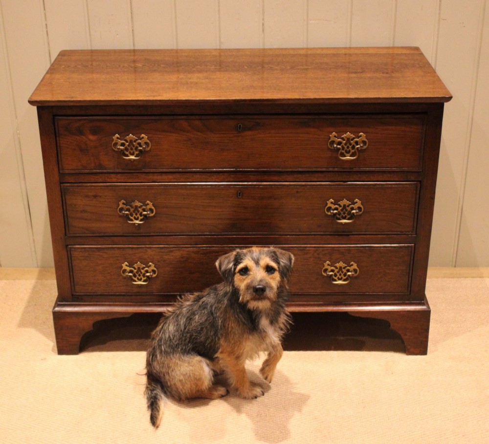 A low Georgian style dark oak chest featuring three full-width drawers with ornate brass handles, set on bracket feet. View X