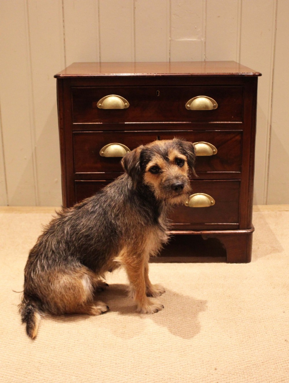 A mid-19th century small low mahogany chest of drawers featuring three graduated drawers with brass cup handles and bracket feet. View IX