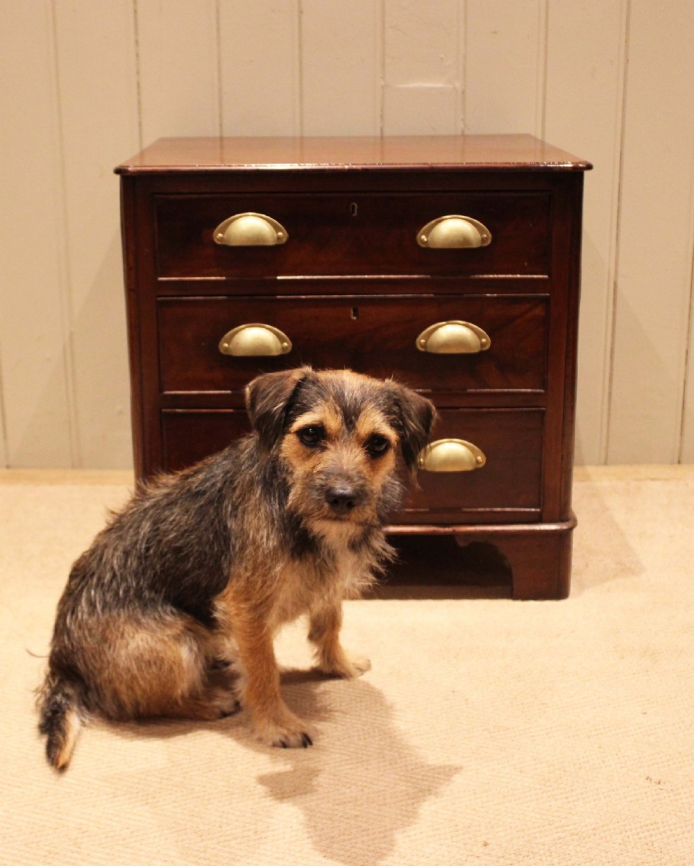 A mid-19th century small low mahogany chest of drawers featuring three graduated drawers with brass cup handles and bracket feet. View XI