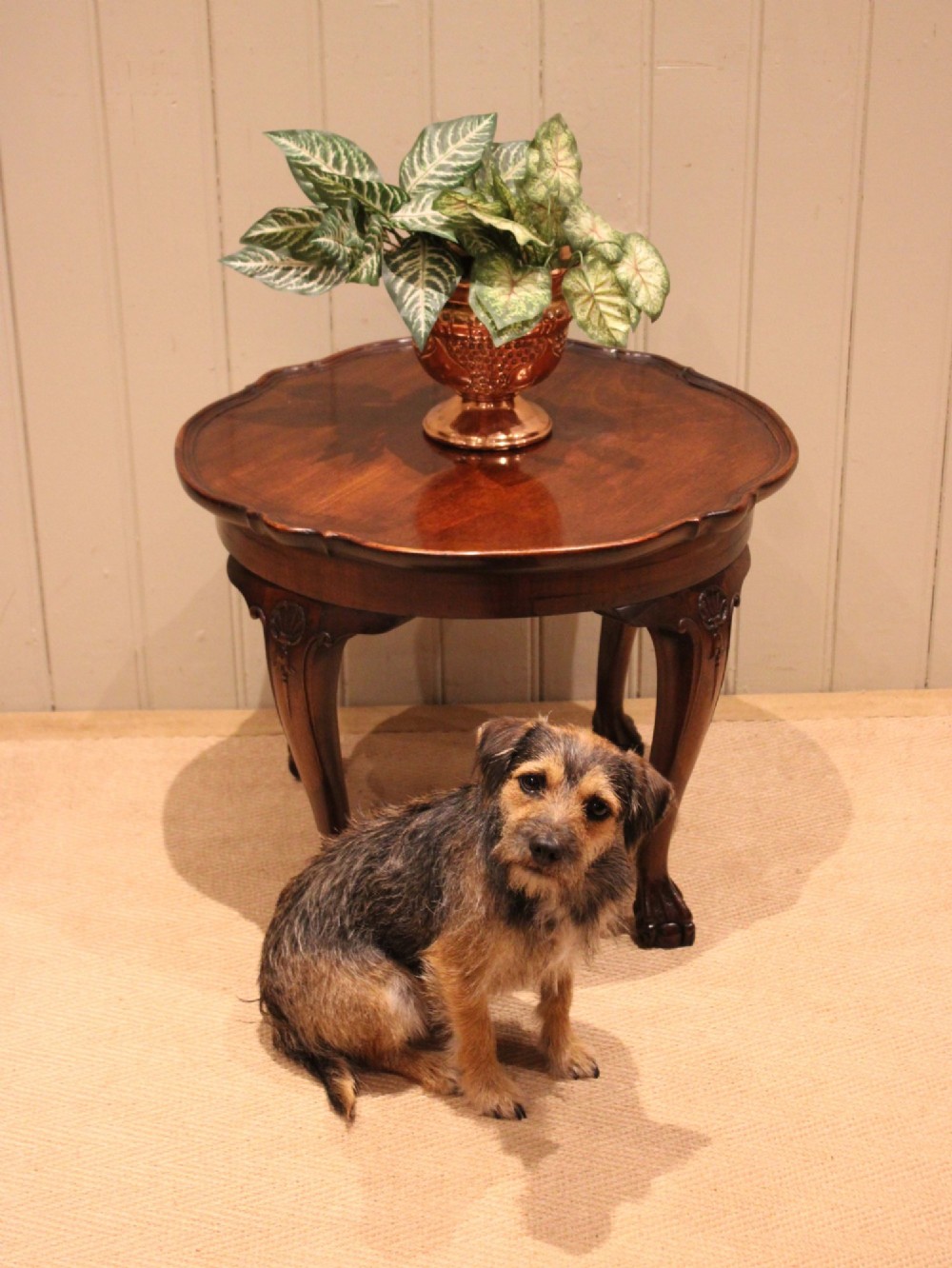 A low mahogany coffee table featuring a shaped piecrust rim, carved cabriole legs with shell knee detailing, and claw and ball feet. View X