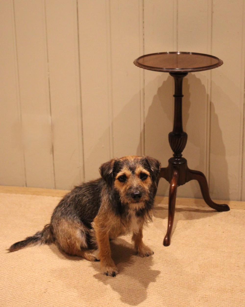An Edwardian mahogany wine table featuring a scalloped piecrust circular top, a turned central stem, and three splayed tripod legs. View IV