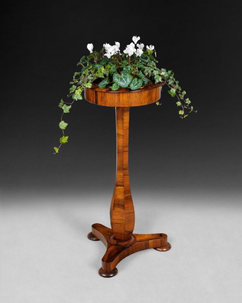Rare Regency Rosewood Planter Table