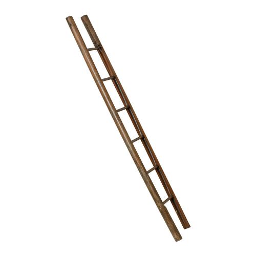 Victorian Teak Folding Pole Library Ladder