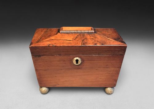 Regency Rosewood Tea Caddy of Sarcophagus Form