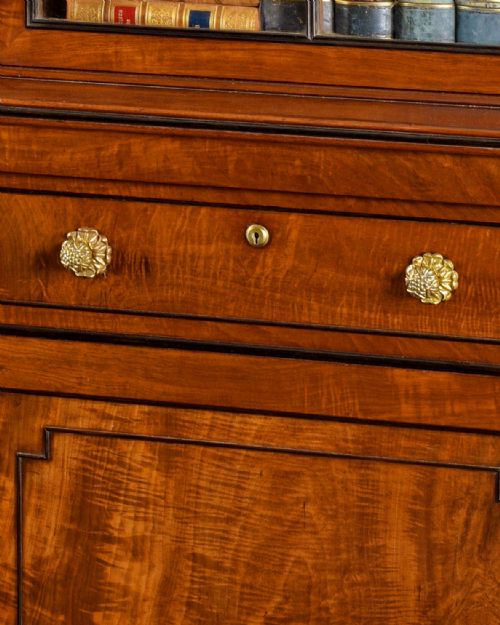 fig 2. Regency Mahogany and Ebony Library Bookcase