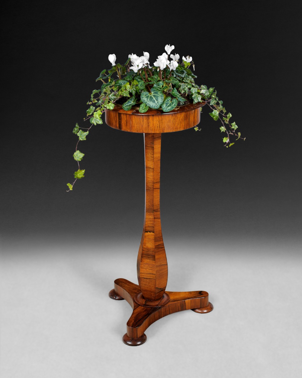 Rare Regency Rosewood planter table