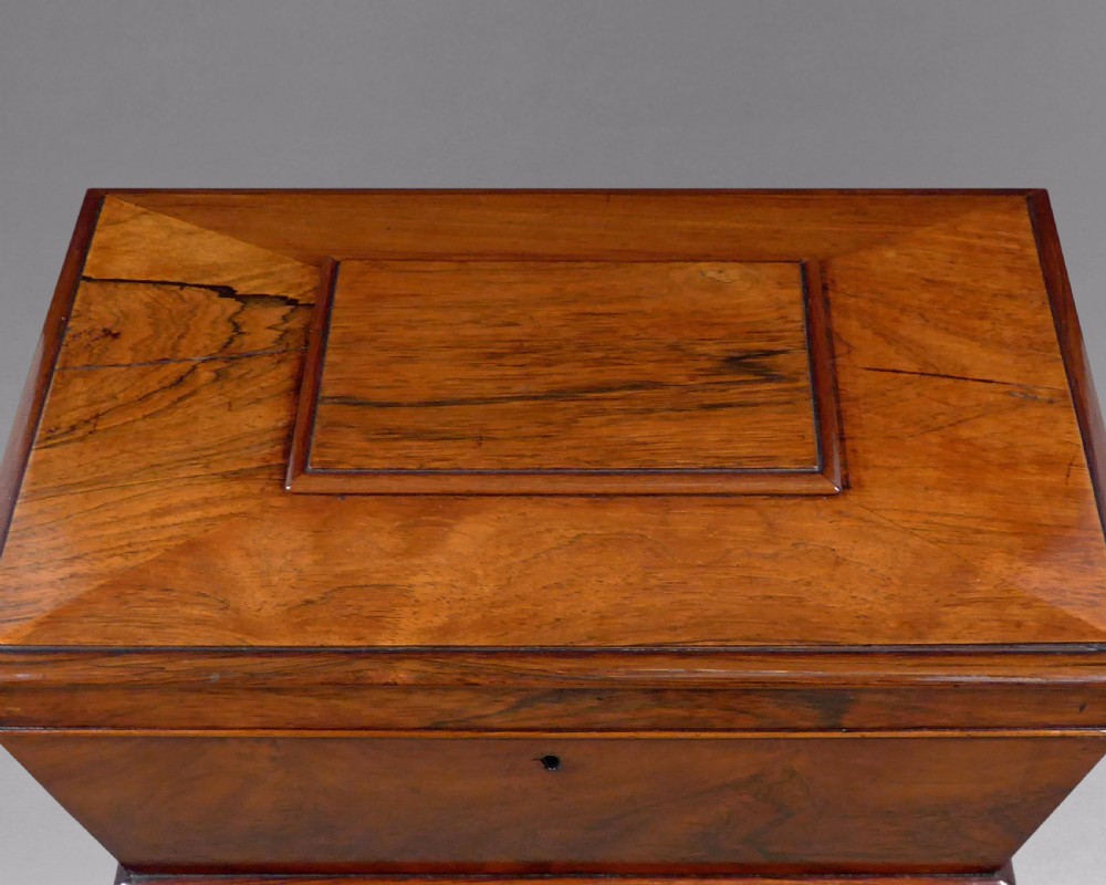 William IV period Rosewood Teapoy View II