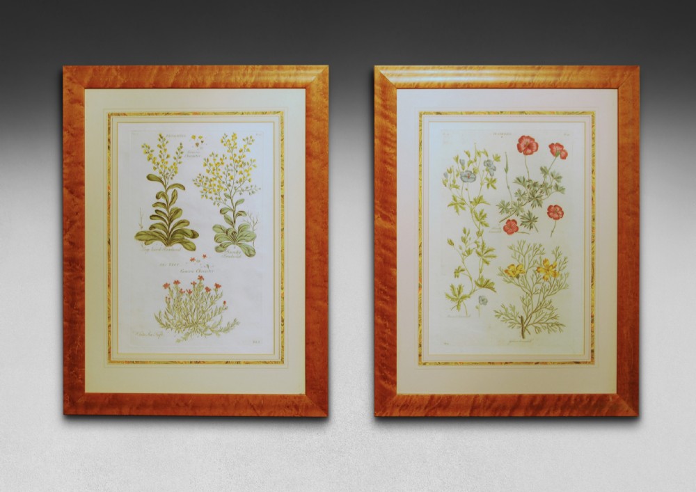 A pair of hand coloured copper plate engravings by John Hill from ‘Eden or a compleat body of gardening’.