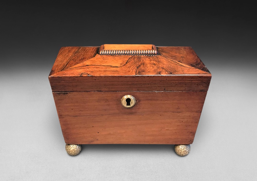 Regency Rosewood Tea Caddy of Sarcophagus Form