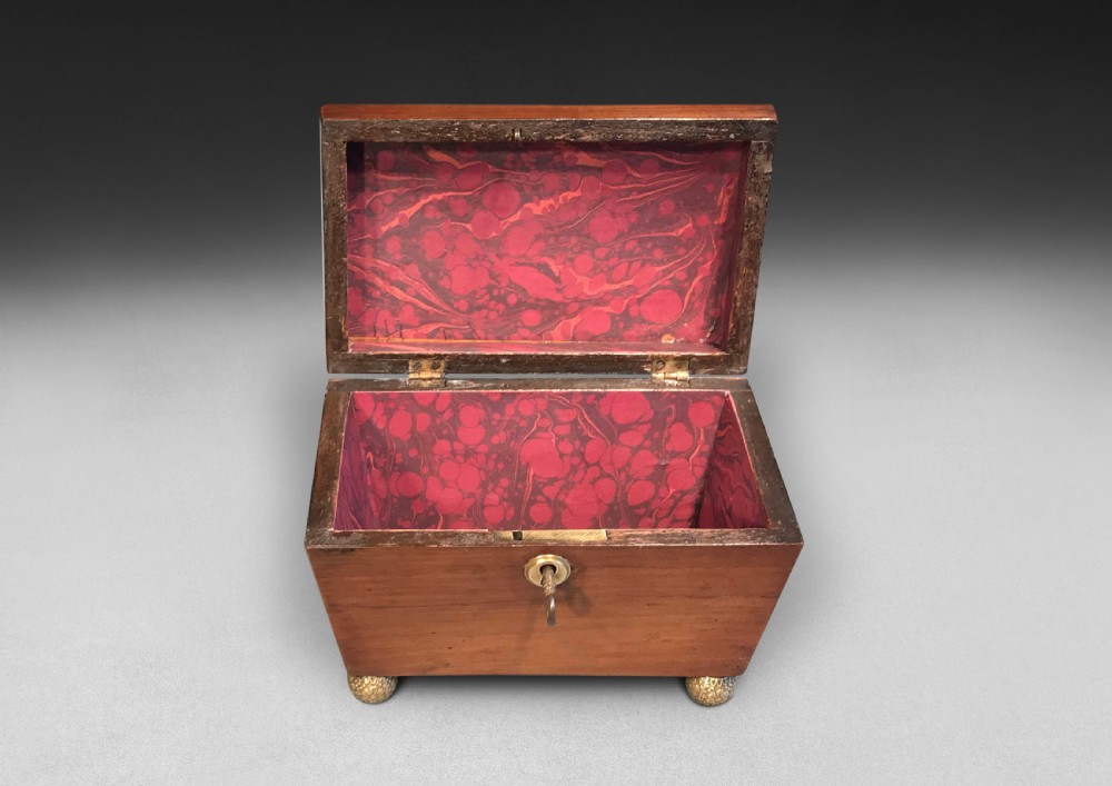 Regency Rosewood Tea Caddy of Sarcophagus Form View II