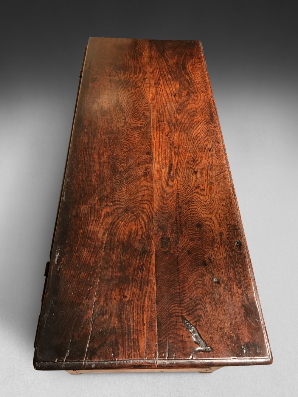 Charles II Serpent Carved Oak Coffer View VI
