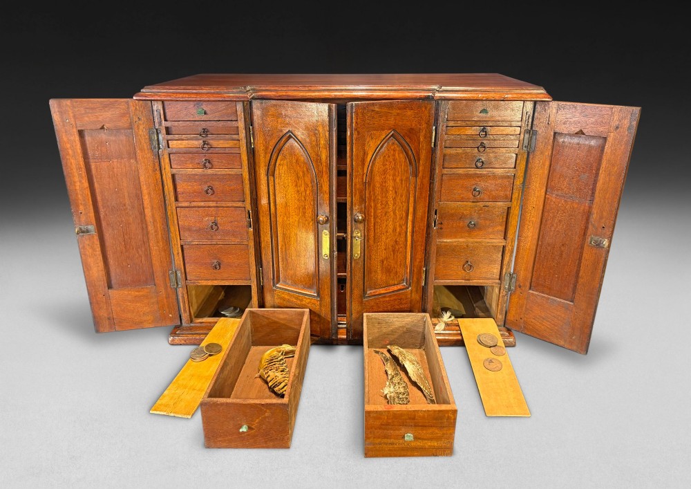 A nineteenth-century oak tabletop collectors cabinet featuring breakfront doors with carved Gothic arch panels and turned wooden knobs. View IV