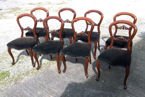 fig 1. A good set of eight Victorian dining chairs in walnut.