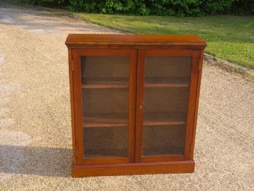 Neat Little Bookcase or Display with Two Lockable Doors