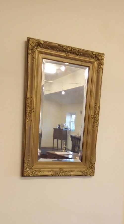 Attractive Gilt Frame Mirror