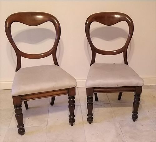Classic Pair of Mahogany Balloon Back Chairs 19thc