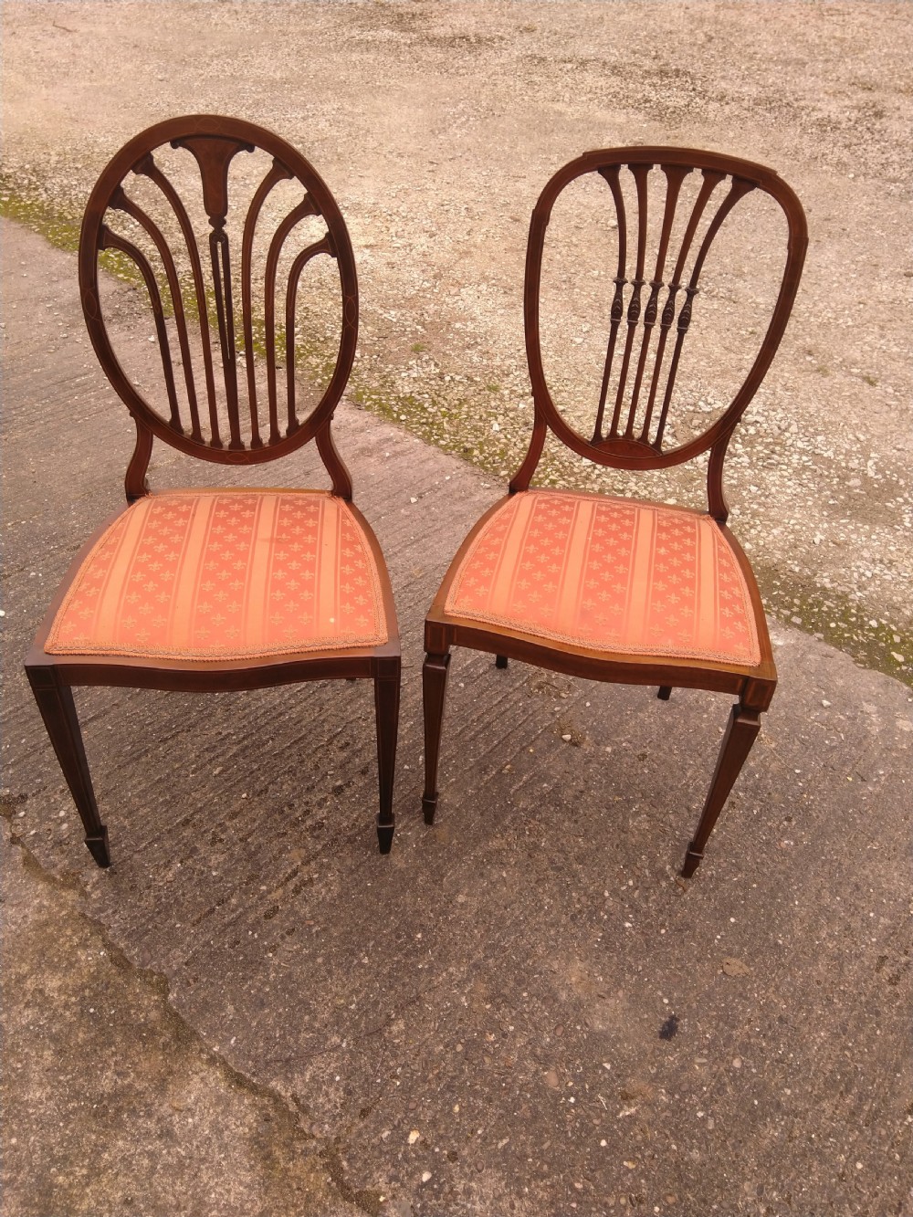 A pair of dark mahogany Sheraton Revival side chairs featuring oval backrests with carved vertical splats, line inlay, and seats upholstered in terracotta patterned fabric. View II