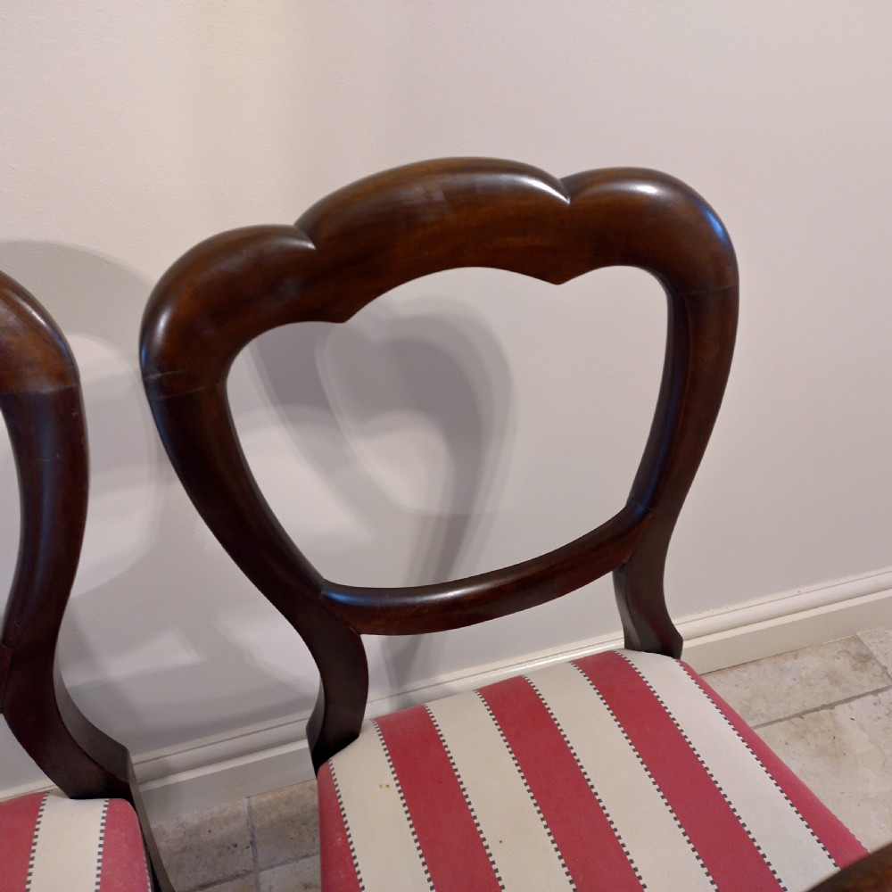 A set of eight 19th-century mahogany balloon back dining chairs with red and white striped upholstered seats and turned front legs. View IV