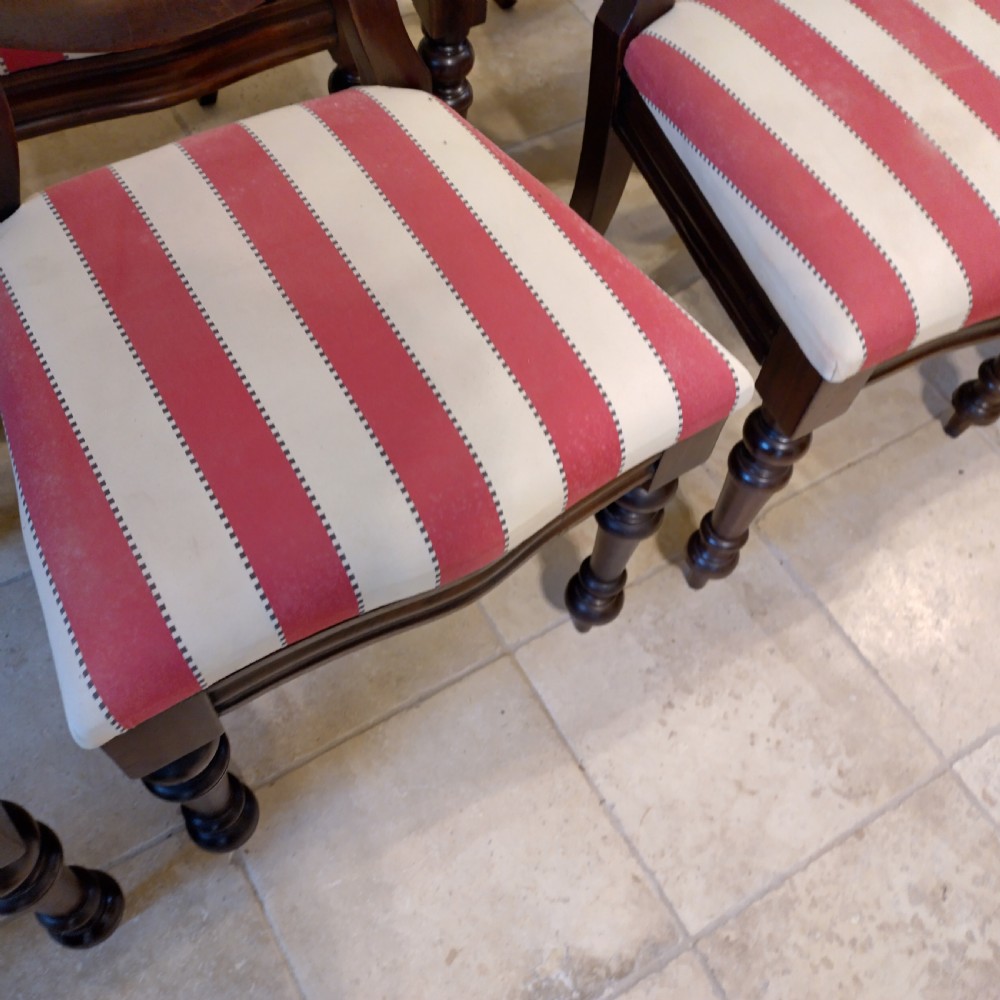 A set of eight 19th-century mahogany balloon back dining chairs with red and white striped upholstered seats and turned front legs. View V