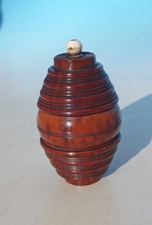 antique 19thc treen coquilla nut go to bed english c184060 - CATEGORY: ANTIQUE MISCELLANEOUS - DATED 19TH CENTURY