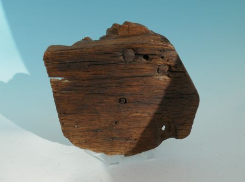 ANTIQUE 15THC CARVED OAK HEAD OF A CHERUB COMPLETE WITH SHAPED RUFF FRENCH C144060 - ADDITIONAL PHOTO 3