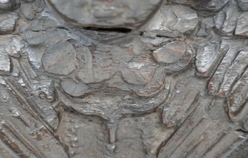 ANTIQUE ELIZABETHAN 16THC OAK CARVED WINGED ANGEL PANEL ENGLISH C156090 - ADDITIONAL PHOTO 3