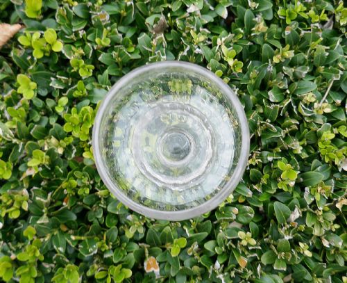 MID 18THC BONNET GLASS ENGRAVED WITH LILY OF THE VALLEY ENGLISH C173040 - ADDITIONAL PHOTO 1