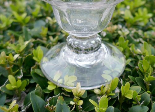MID 18THC BONNET GLASS ENGRAVED WITH LILY OF THE VALLEY ENGLISH C173040 - ADDITIONAL PHOTO 3