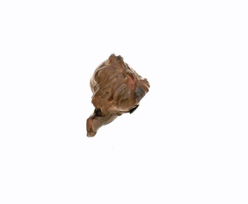 ANTIQUE TREEN 18THC LIMEWOOD CARVED SMALL CHERUB FLEMISH C172040 - ADDITIONAL PHOTO 3