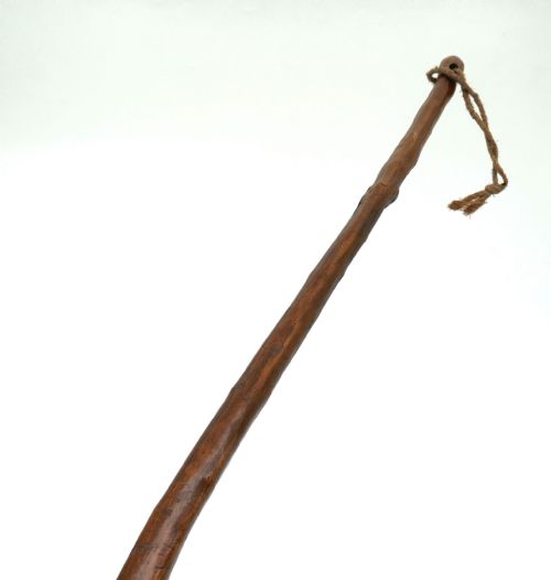 ANTIQUE STICKS CUDGELS 19THC BLACKTHORN IRISH SHILLELAGH C186080 - ADDITIONAL PHOTO 3