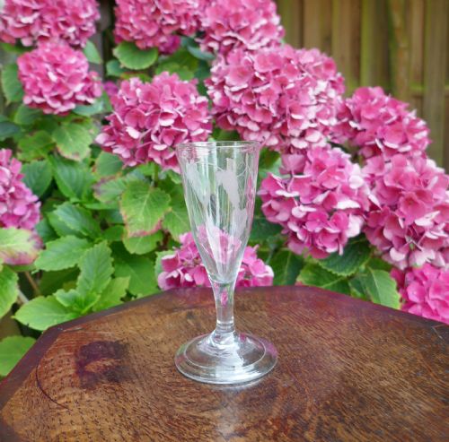 ANTIQUE GLASS SINGLE 18THC ENGLISH ENGRAVED GEORGIAN ALE GLASS C174060 - ADDITIONAL PHOTO 3