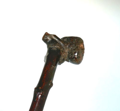 ANTIQUE STICKS 18THC BLACKTHORN IRISH GENTLEMAN'S SHILLELAGH C177090 - ADDITIONAL PHOTO 1